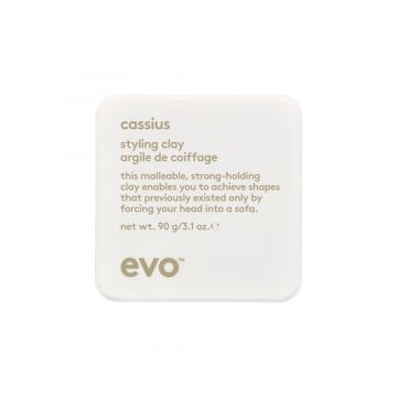 Evo Cassius Styling Clay 90gr